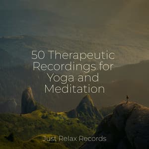 50 Therapeutic Recordings for Yoga and Meditation - Music For Absolute Sleep