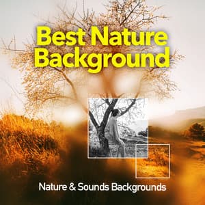 Best Nature Background - Nature Sounds & Backgrounds