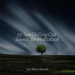 50 Spa Chilling Out Sounds for Meditation - Deep Sleep Relaxation