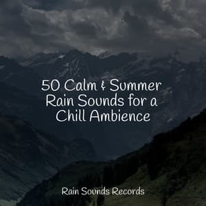 50 Calm & Summer Rain Sounds for a Chill Ambience - Lightning, Thunder and Rain Storm