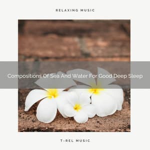 Compositions Of Sea And Water For Good Deep Sleep - Deep Rain Sampling