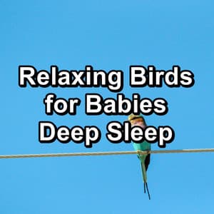 Relaxing Birds for Babies Deep Sleep - Rain Shower Spa