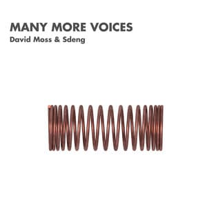 Many More Voices - David Moss