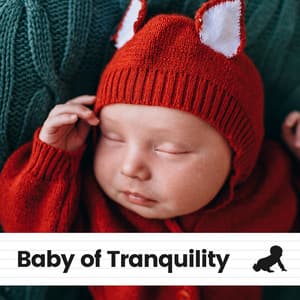 Baby of Tranquility - Baby Sleep Lullaby Academy