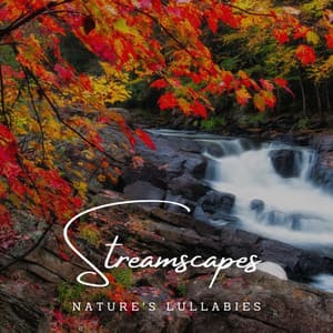 Soothing Stream Slumbers: Nature's Lullabies - Mother Nature