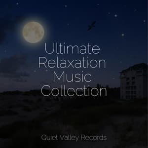 Ultimate Relaxation Music Collection - It's Raining
