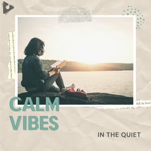 In The Quiet - Calm Vibes