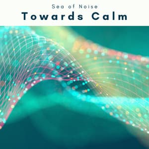 Towards Calm - Sea of Noise