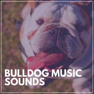Bulldog Music Sounds - Music for Calming Dogs