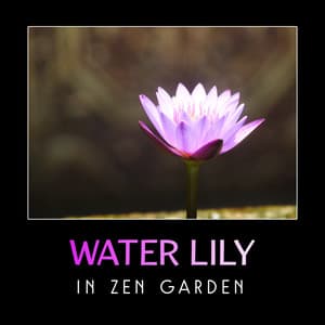 Water Lily in Zen Garden – Beautiful & Gentle Chinese Music - Lu Xuna Qian