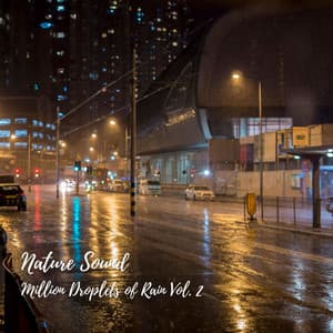 Nature Sound: Million Droplets of Rain Vol. 2 - Rain Hive