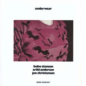 Underwear - Bobo Stenson
