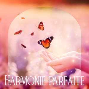Harmonie parfaite - Mary Flowes