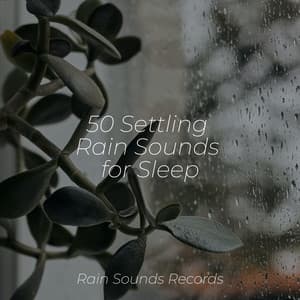 50 Settling Rain Sounds for Sleep - Nature Sound Collection