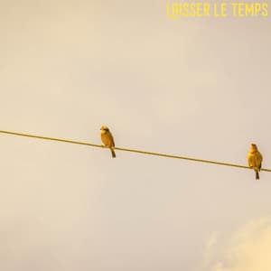 Laisser le temps - Musique Zen