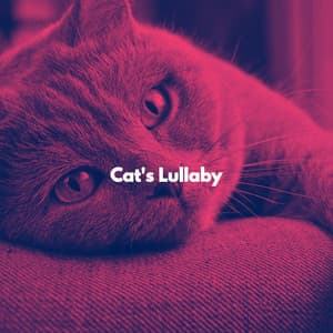 Cat's Lullaby - Calming Music for Cats