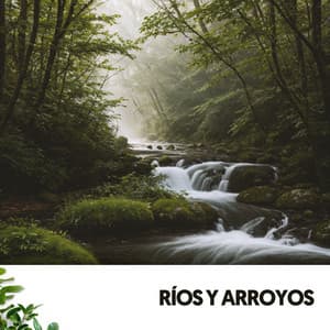Sonidos del río y música: El susurro de la naturaleza - Dog Relaxation