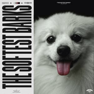 The Softest Barks - Dog Relaxation