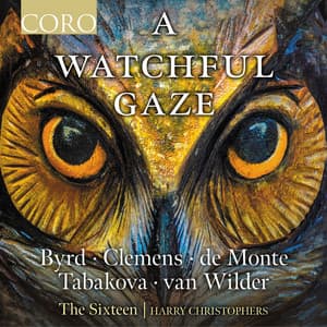 A Watchful Gaze - The Sixteen