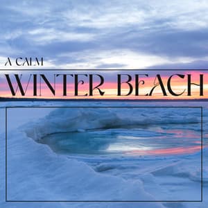 A Calm Winter Beach - Blossom In Winter