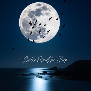 Guitar Mood for Sleep: Soothing Instrumental Music for Stress Relief, Empty Mind, Blissful Time & Calm Night Music - Sleeping Lullabies