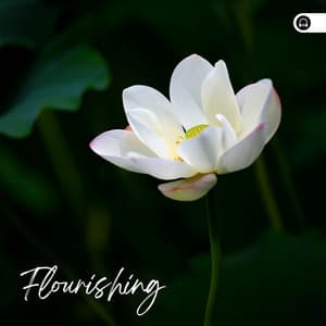 Flourishing - Weather Sounds
