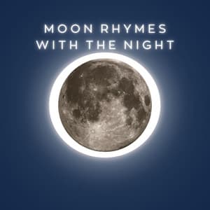 Moon Rhymes With The Night - Baby Mozart