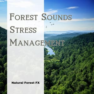 Forest Sounds: Stress Management - Natural Forest FX