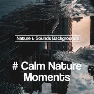 # Calm Nature Moments - Nature Sounds & Backgrounds