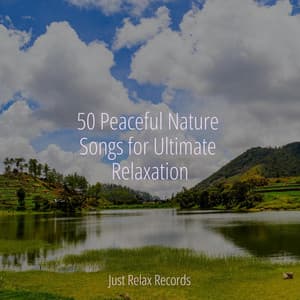 50 Peaceful Nature Songs for Ultimate Relaxation - Study Hard