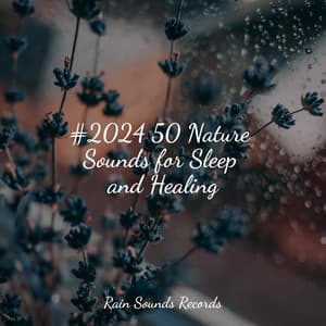 #2024 50 Nature Sounds for Sleep and Healing - Rain For Deep Sleep