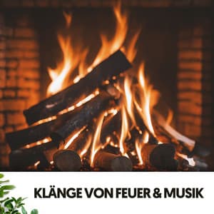 Klänge von Feuer & Musik: Knisternde Gelassenheit - Ruido Blanco Hart