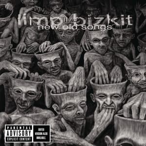 New Old Songs - Limp Bizkit