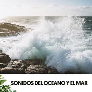 Sonidos del Oceano y el Mar: Harmonia y fuerza - Dog Relaxation