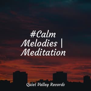 #Calm Melodies | Meditation - Musica Reiki