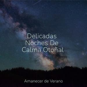 Delicadas Noches De Calma Otoñal - Musica para Meditar