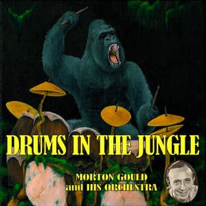 Drums In the Jungle - Morton Gould and His Orchestra