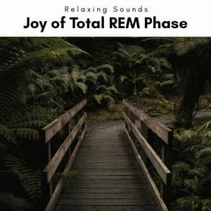 1 Joy of Total REM Phase - JBE Nature Sounds