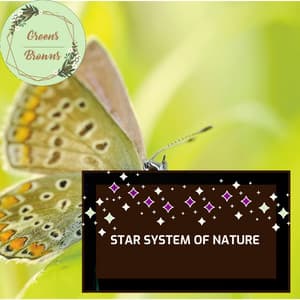 Star System of Nature - Calm Music