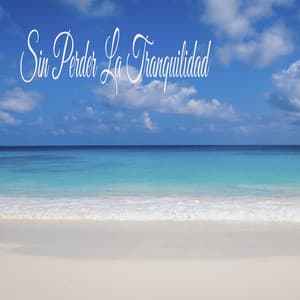 Sin Perder La Tranquilidad - Water Sound Natural White Noise