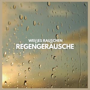 Weißes Rauschen: Regengeräusche - Regengeräusche Orchester von TraxLab