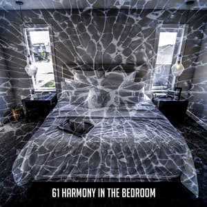 61 Harmony In The Bedroom - Relaxing Music For Sleeping
