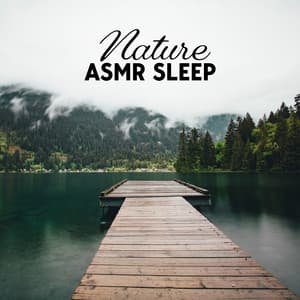 Nature ASMR Sleep: Relaxing Tones, Morning Sound Bath - Nature Meditation Academy