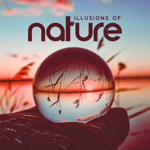 Illusions of Nature - Sounds of Nature Relaxation