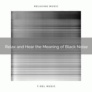 Relax and Hear the Meaning of Black Noise - Fan Noise for Sleep