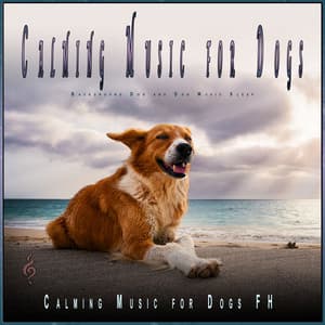 Calming Music for Dogs: Background Dog Sleeping Music - Dog Music