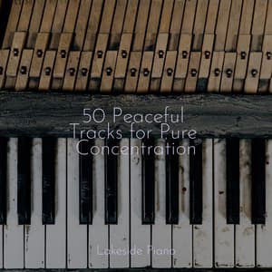 50 Peaceful Tracks for Pure Concentration - SD