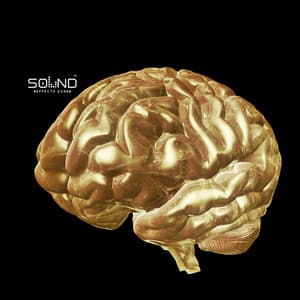 528 Golden Mind: Tibetan Frequency Pathway to Wealth & Abundance - Sound Effects Zone