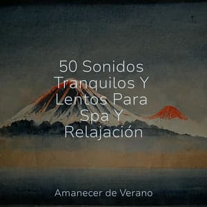 50 Sonidos Tranquilos Y Lentos Para Spa Y Relajación - Guitarra Clásica Española
