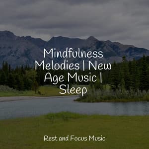 Mindfulness Melodies | New Age Music | Sleep - Avslappning Sound